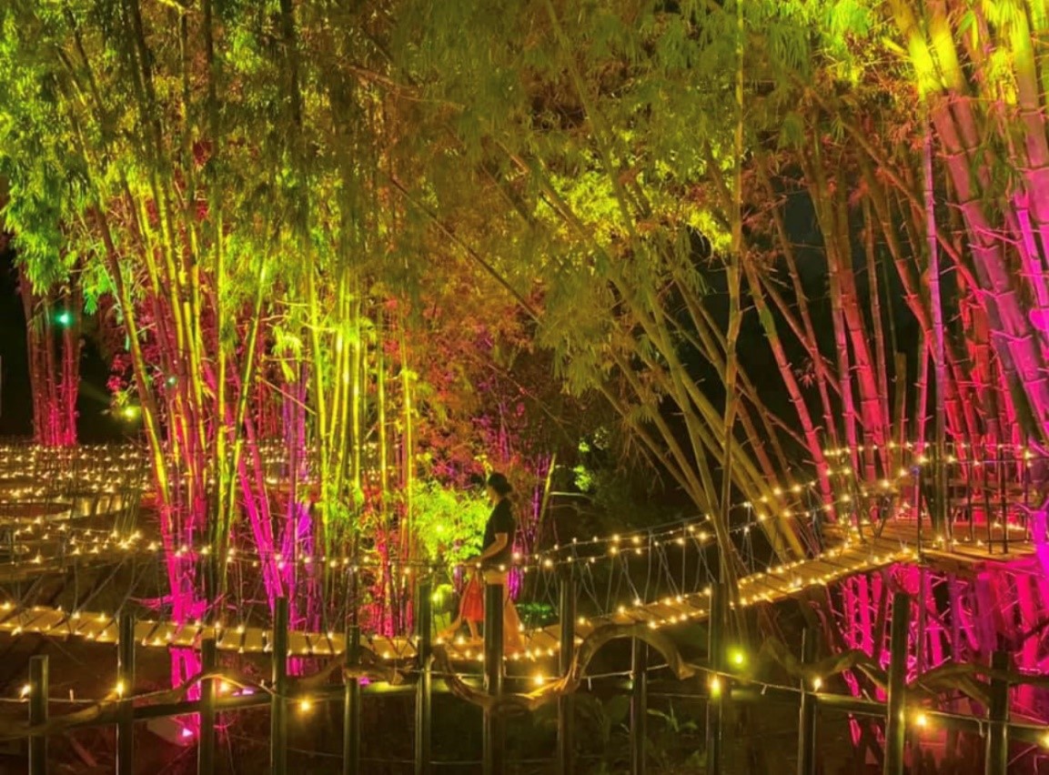 夜に美しい光のショーが行われる壮大な竹の公園で有名なこのレストランは、最近セブで話題になっています。 