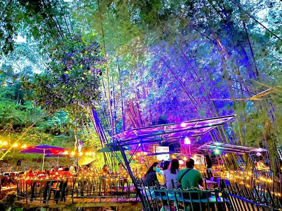沢山の竹に囲まれた幻想的なレストラン、The Grove（ザグローブ）