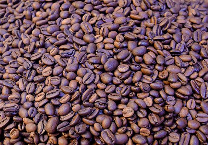 ジャコウネコが餌として食べたコーヒー豆のうち、消化されずにそのまま排泄されたコーヒー豆を集めて作ったコーヒーが「シベットコーヒー」。希少な高級豆として知られています。