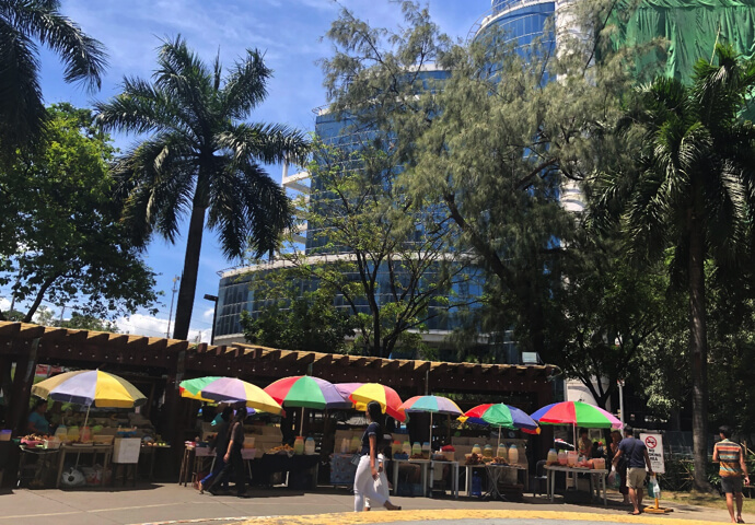 It is often in a small place, so these are in a small park next to the Ayala Mall.