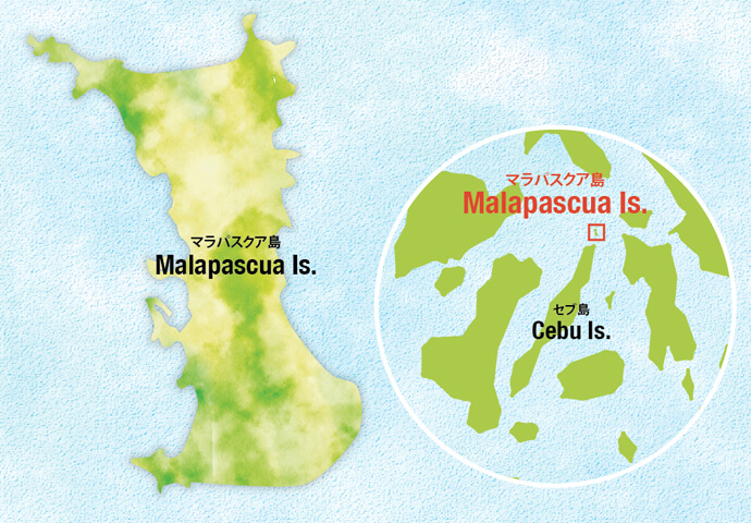 広がるホワイトサンドとコバルトブルーの海…魅惑のリゾート島【Malapascua マラパスクア島】