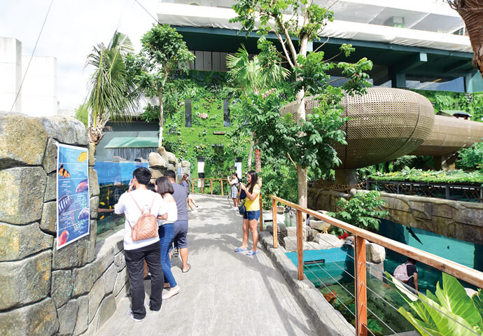 セブ初！フィリピン最大規模の水族館が登場！！楽しいがギュッと 詰まったセブオーシャンパーク