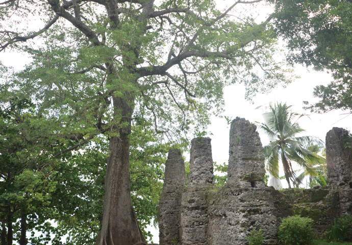 ~Unspoiled nature in an unknown place~ Camiguin Island