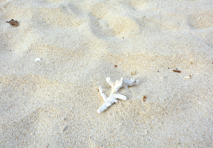 ~Unspoiled nature in an unknown place~ Camiguin Island