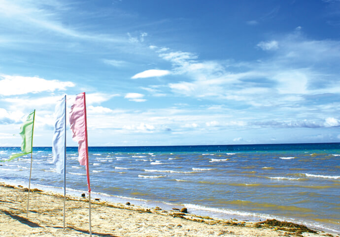 The Camotes Islands  are Now Booming!