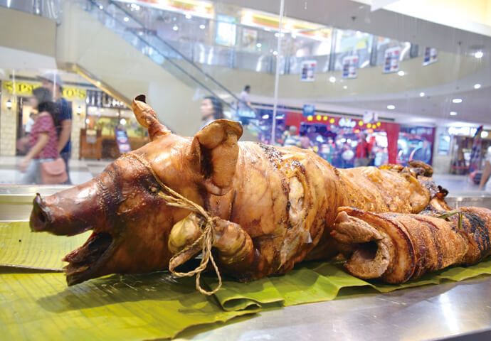 The World of Lechon
