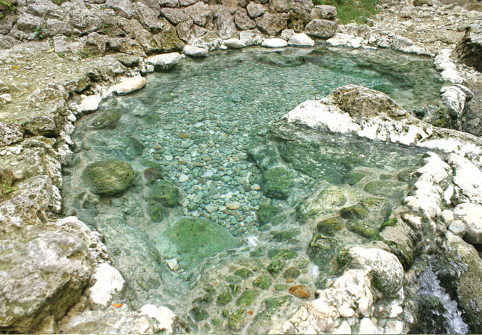 Main Springs Bath in Cebu’s Forest