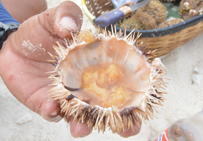 美しい手つかずの自然が豊富な秘境の島、カミギン島