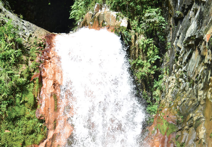 〜A City Wrapped in Nature & a Gentle Wind〜 Dumaguete