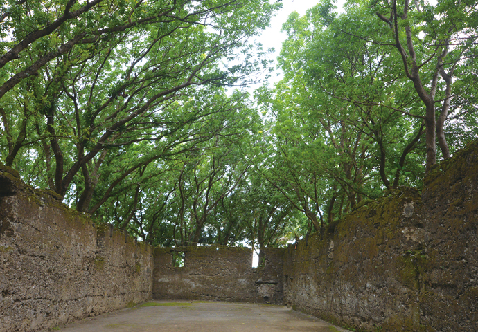 ~Unspoiled nature in an unknown place~ Camiguin Island