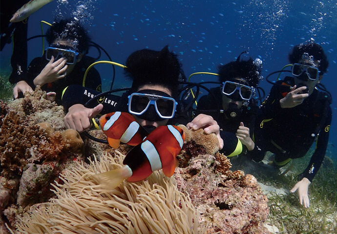 Diving in  Cebu’s Beautiful Sea 